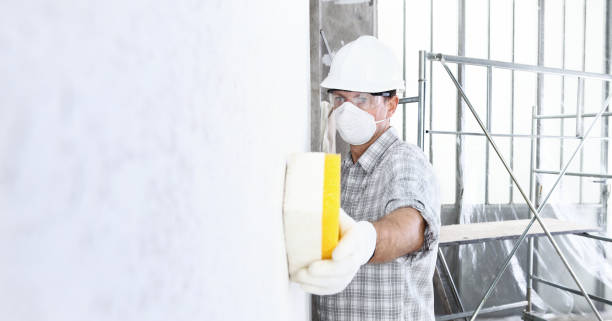 Sandstone, MN Mold Removal & Remediation Company