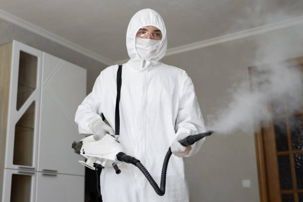 Mold Remediation for Vacation Homes in Sandstone, MN