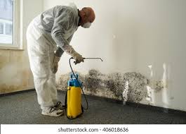 Best Residential Mold Inspection & Testing  in Sandstone, MN